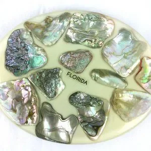 Original Designes | Kitchen | Vintage Original Designs Abalone Oyster ...